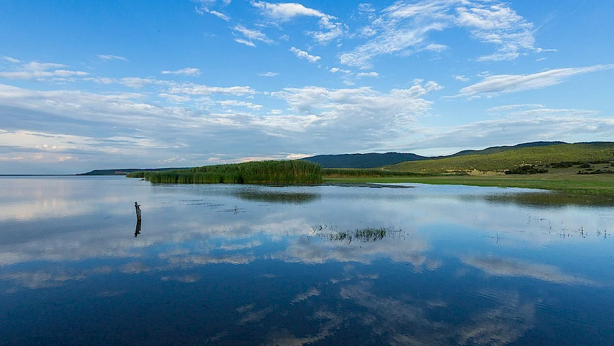 Trakya'nın Kalbi Tehlikede