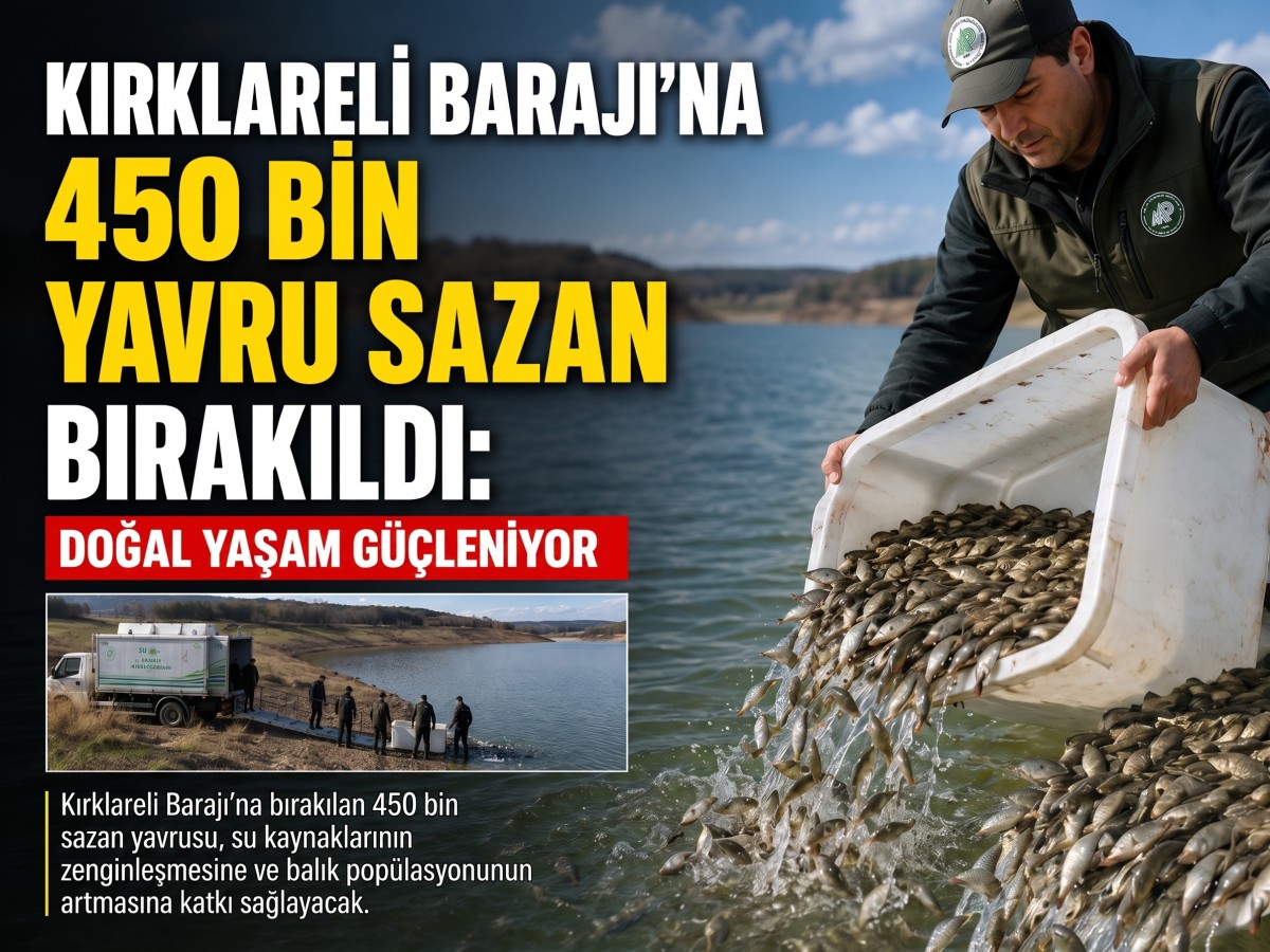 Kırklareli Barajı’nda Doğal Yaşam Güçleniyor